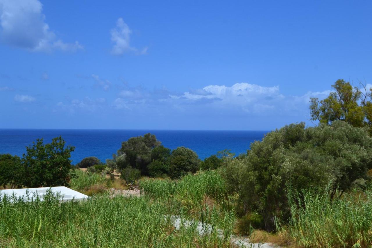Campus Dei - Tropea Rooms ภายนอก รูปภาพ